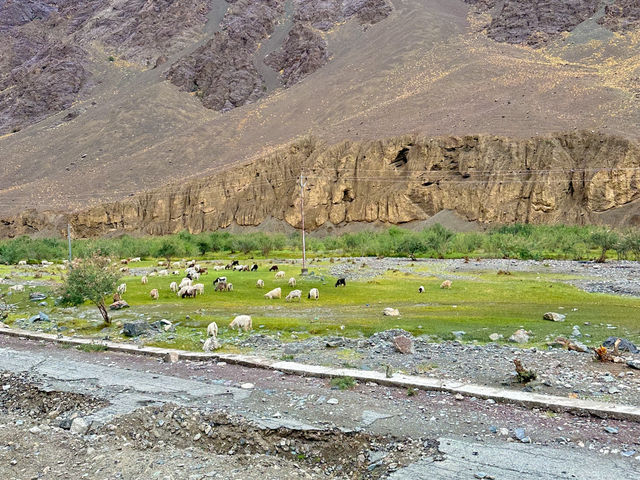 Tsomoriri Lake ทะเลสาบที่สูงที่สุดในโลกก🇮🇳🏔️