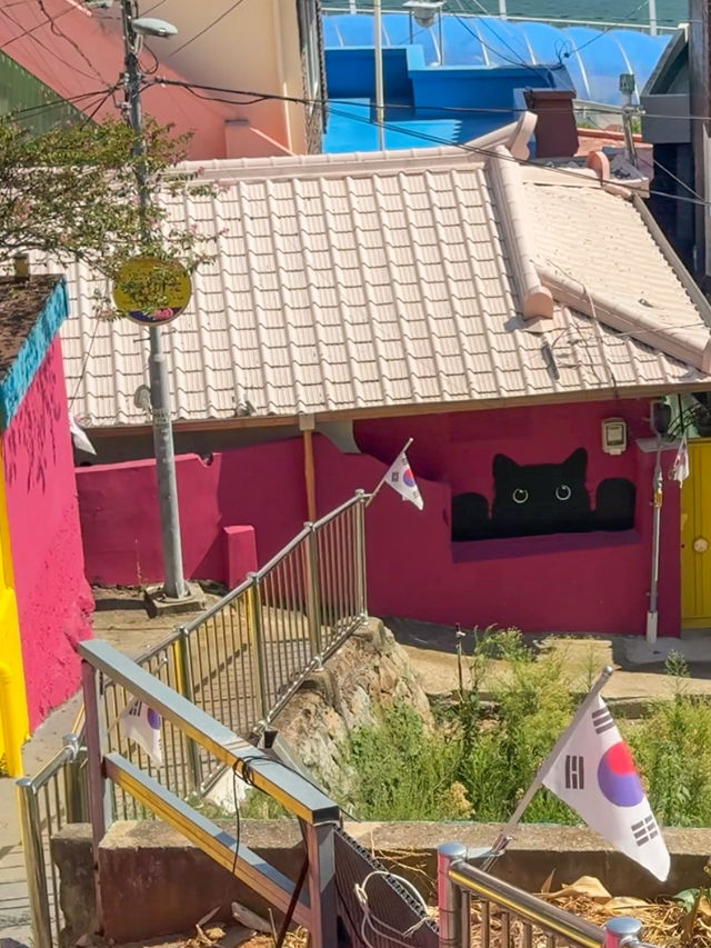여수 여행 필수 코스 ‘고소동 벽화마을’