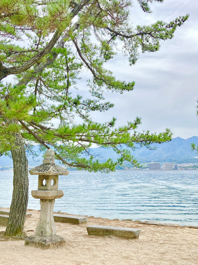【広島観光】安芸の宮島のベストシーズンすぐそこ❣️