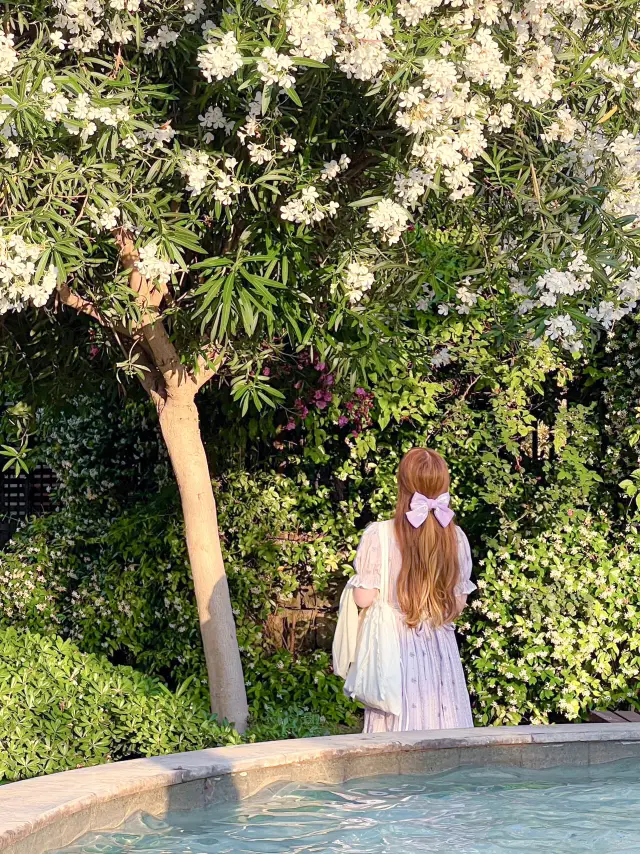 튀르키예 최고의 휴양지, 안탈리아🇹🇷