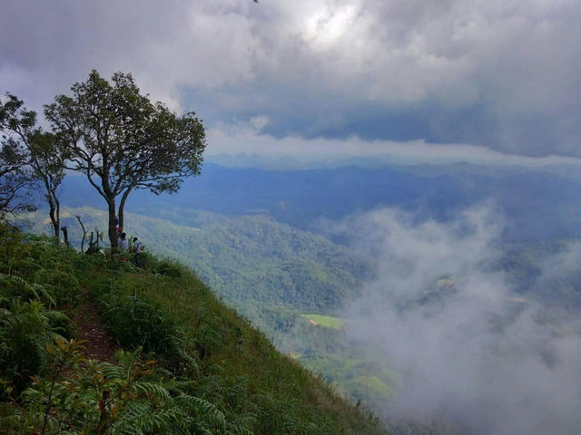 พิชิตหัวใจแห่งขุนเขา ปิตุ๊โกร ⛰️