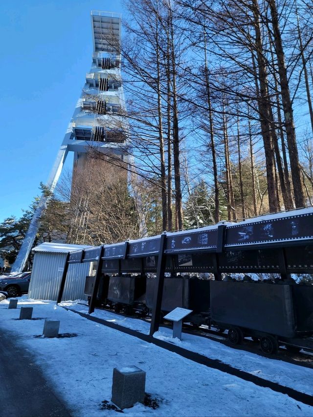 겨울시즌의 대미를 장식하는 태백눈꽃축제❄️