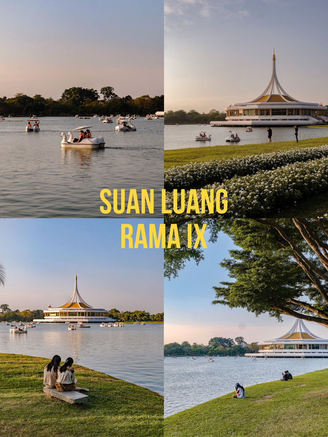 พาไปปั่นเรือเป็ด ชมพระอาทิตย์ตกที่สวนหลวง ร9 🌳