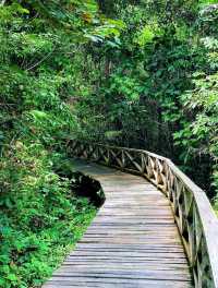 An appealing and challenging outdoor adventure@The Niah National Park.