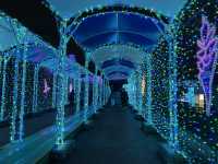 🇯🇵東京秋冬春限定 寶石點燈祭💎