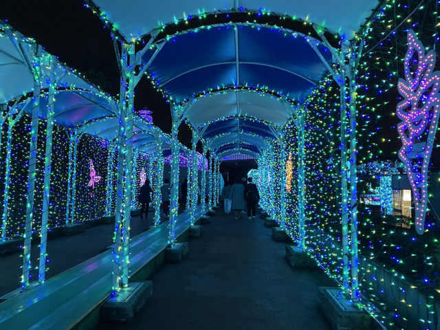 🇯🇵東京秋冬春限定 寶石點燈祭💎