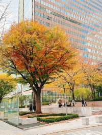 【韓国/ソウル】秋のソウル🍂光化門お散歩と🉐情報も！