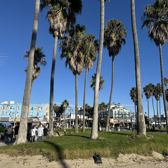 Vibing at Venice beach