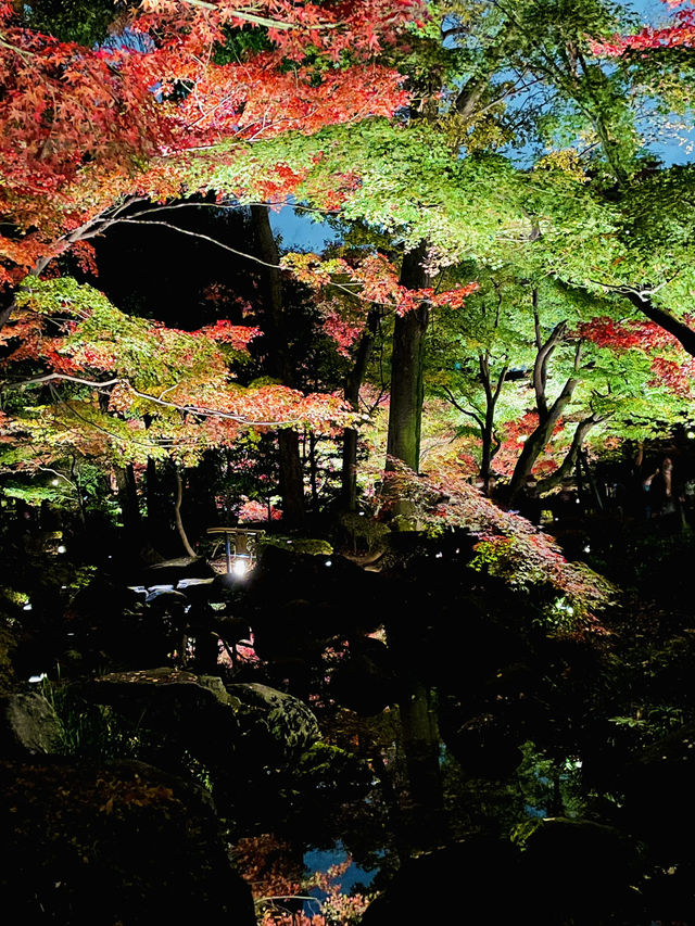 【東京の紅葉スポット🍁】池の水面に映り込む逆さ紅葉の絶景