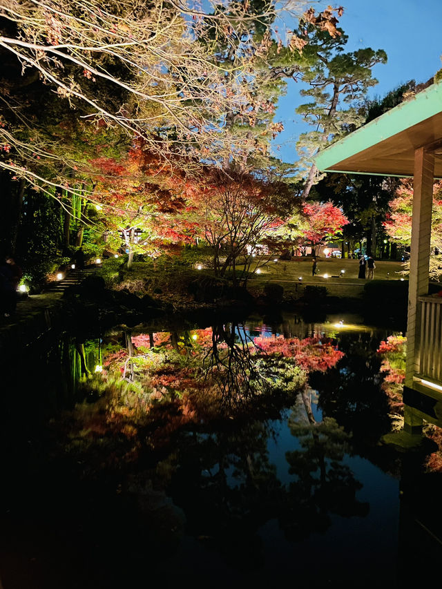 【東京の紅葉スポット🍁】池の水面に映り込む逆さ紅葉の絶景