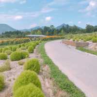 【香川県】国営讃岐まんのう公園