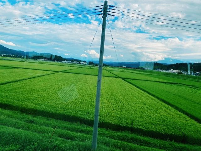 【秋田×前郷駅】趣ある駅舎と田園風景が広がるおばこ号の旅