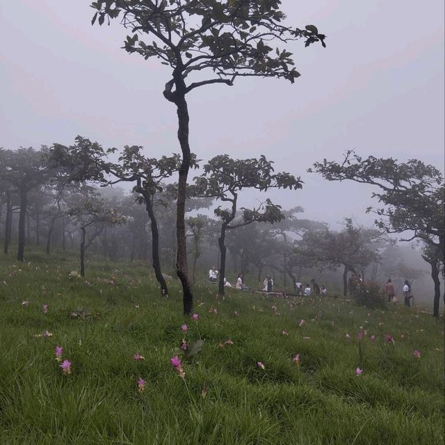 ชัยภูมิ