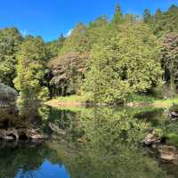 Explore the magical Alishan, Taiwan