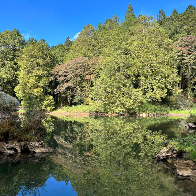 Explore the magical Alishan, Taiwan