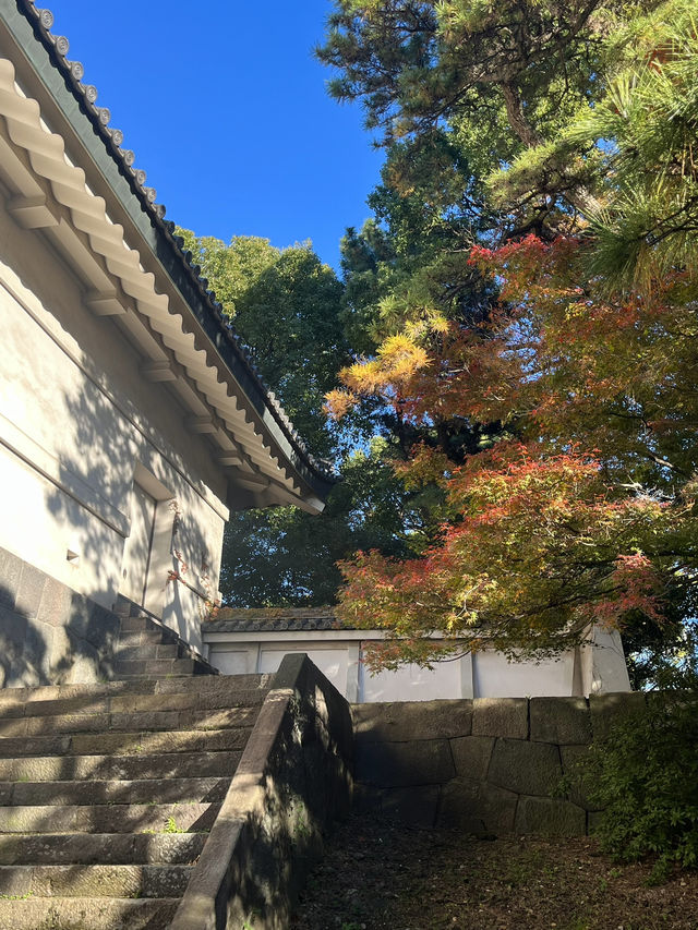 가을 느낌 물씬 [니노마루 정원]⛲️