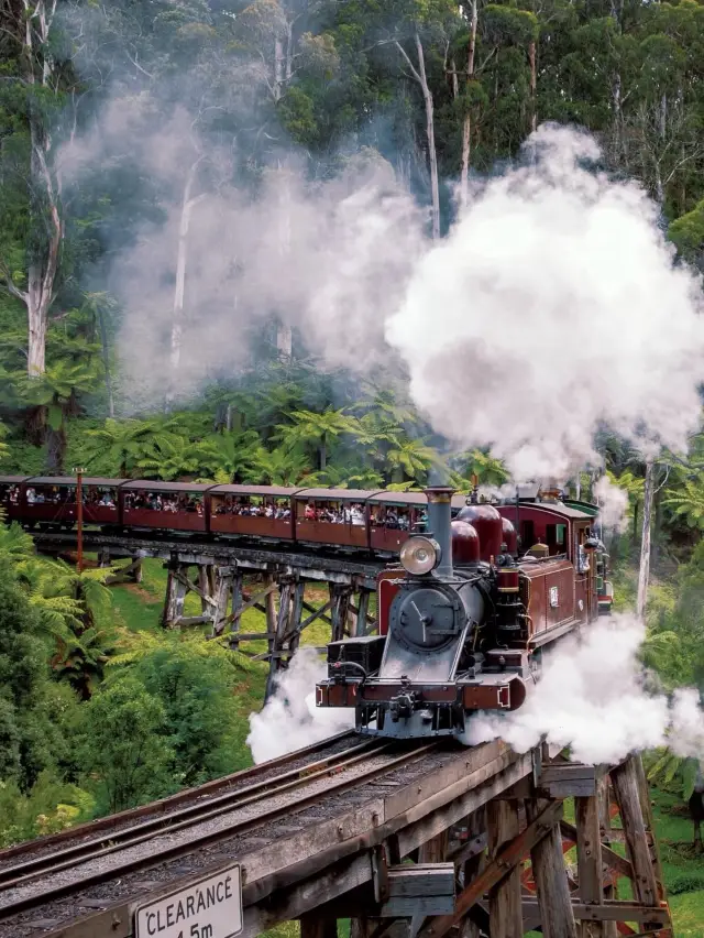 Puffing Billy Railway: A Journey Through Time and Nature