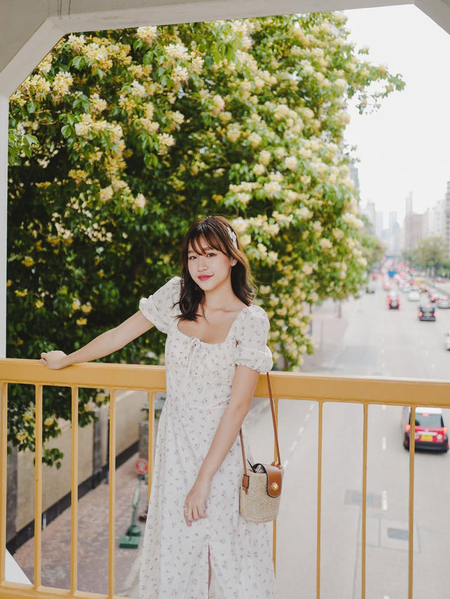 香港🇭🇰街頭特色樹頭菜🌼
