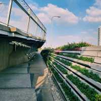 泰國曼谷最有特色的跨河空中花園公園景點:昭披耶天空公园，適合拍照打卡親子遊