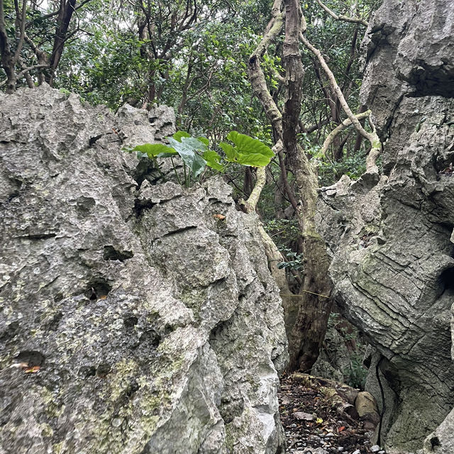 冬の大石林石でお気軽トレッキング🥾