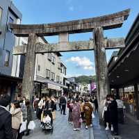 Slow life in Yanagawa and old town charm in Dazaifu