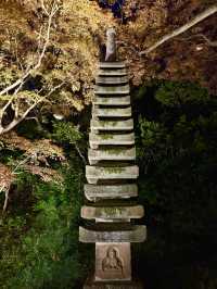 A sea of clouds in Japanese garden