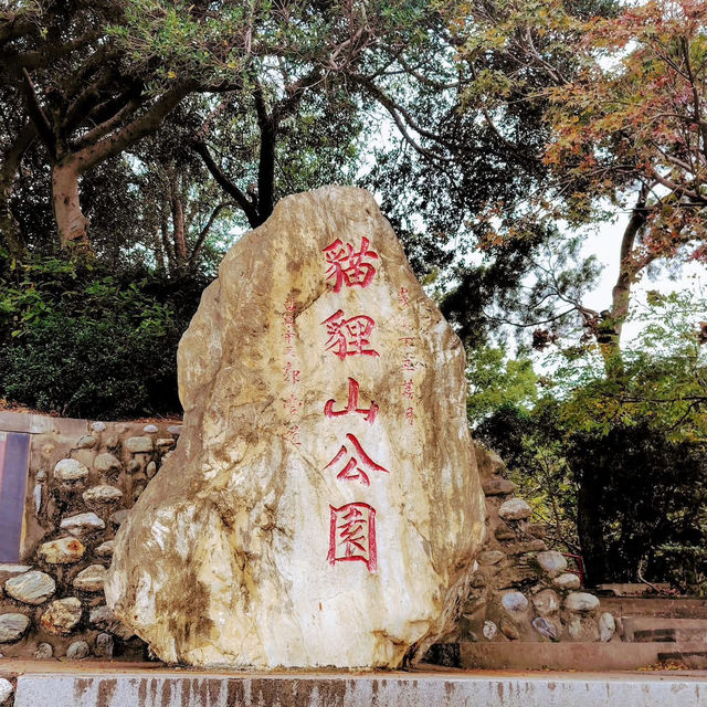 貓貍山公園