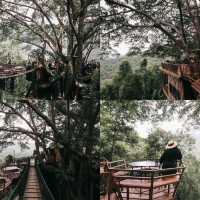 6 คาเฟ่น่านั่งแม่กำปอง แม่ลาย