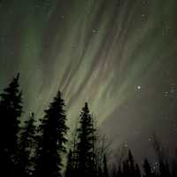 Legit Aurora Cabins in Levi Finland: Let the lights find you 
