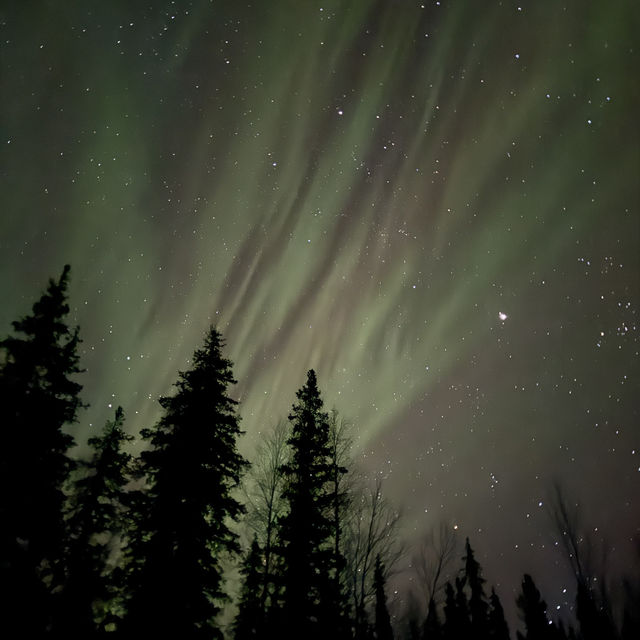Legit Aurora Cabins in Levi Finland: Let the lights find you 
