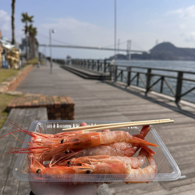 門司港🦭一日遊及美食🥢散策