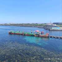 韓國濟州牛島（Udo)