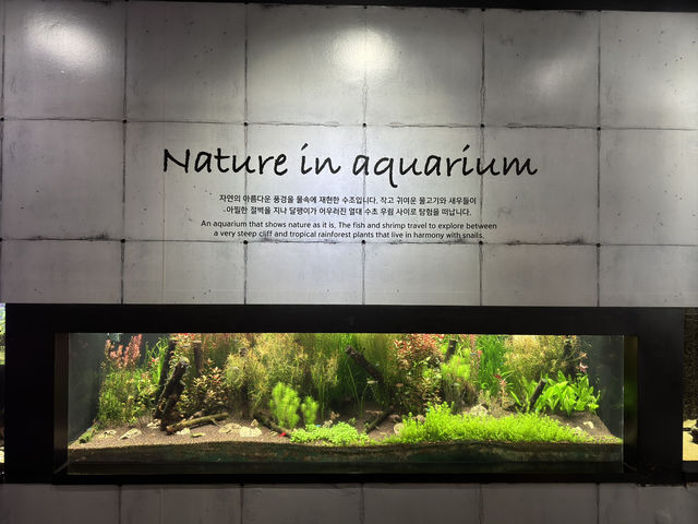 一日遊：探索首爾的COEX水族館之旅 🐠