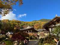 Yeongju Trip at autumn