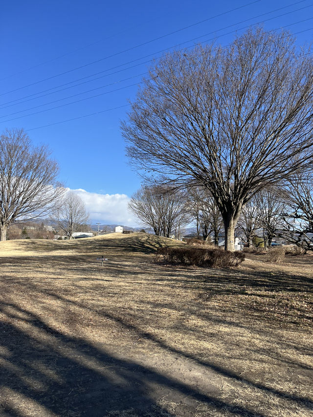 【佐久市🇯🇵】貯水池に集まる鳥が見える公園🕊️