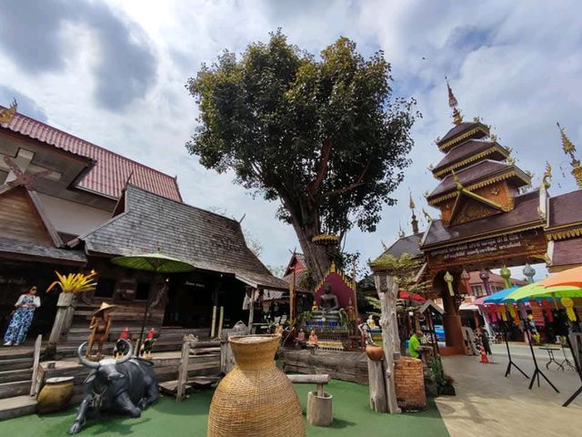 วัดสวยล้านนา ทัศนียภาพทุ่งนา ดอยภูคา อันงดงาม