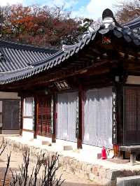 韓國大邱_秋意必訪 桐華寺Donghwasa Temple