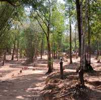 ชมทิวเขาในอุทยาน
