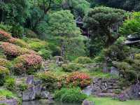 【駿府城下町（①今川氏の栄耀と寺社）】（静岡県静岡市　旧国名：駿河）