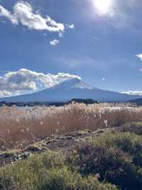 Oishi Park: Stunning Views of Mount Fuji Unobstructed