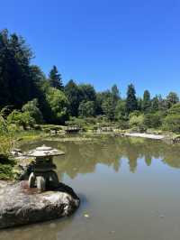 A stunning Japanese Garden in Seattle!