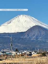 富士山が見える場所にあるいちご狩り🍓【神奈川】