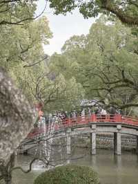 【福岡】大晦日の太宰府天満宮