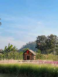 Audrey Hobby Farm 