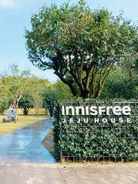 Innisfree濟州小屋 濟州島限定品及美味餐點