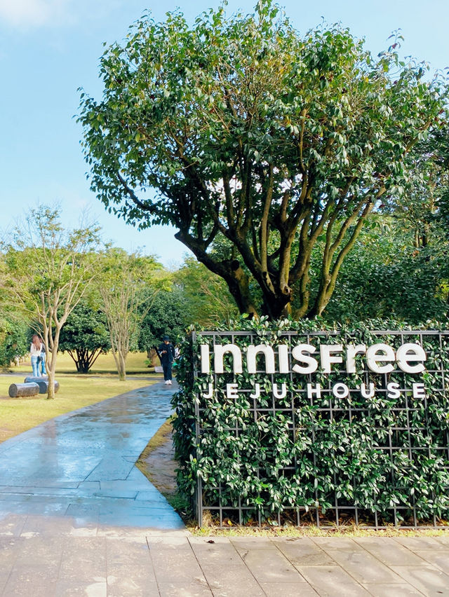 Innisfree濟州小屋 濟州島限定品及美味餐點