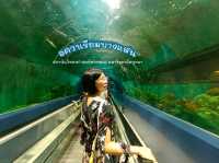 อควาเรียมบางแสน มหัศจรรย์โลกใต้ทะเล