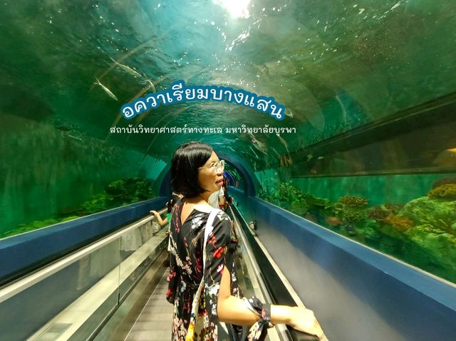 อควาเรียมบางแสน มหัศจรรย์โลกใต้ทะเล