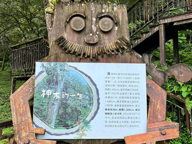 溪頭自然生態風景區