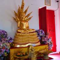 🏮 วัดไชโยวรวิหาร